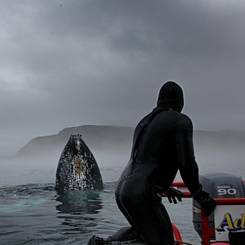 July 10th to 17th, 2021 - Newfoundland, Conception Bay